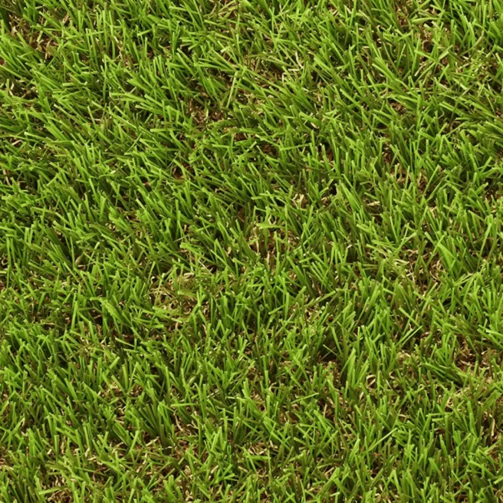 Gazon synthétique en polypropylène vert en rouleau Exelgreen Natura 38 mm - 200 x 500 cm