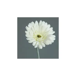Gerbera artificiel