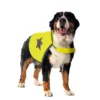 Gilet de sécurité jaune fluo pour chien 64 cm