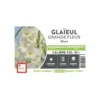 Glaïeul à grandes fleurs blanc Ernest Turc - bulbes vrac