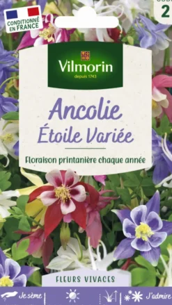 Graines d’Ancolie Étoile variée Vilmorin - graines à semer