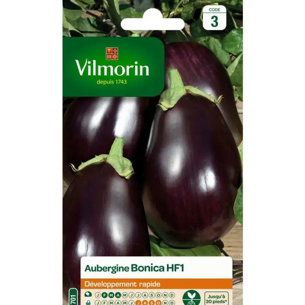 Graines d'aubergine bonica HF1 Vilmorin - graines à semer