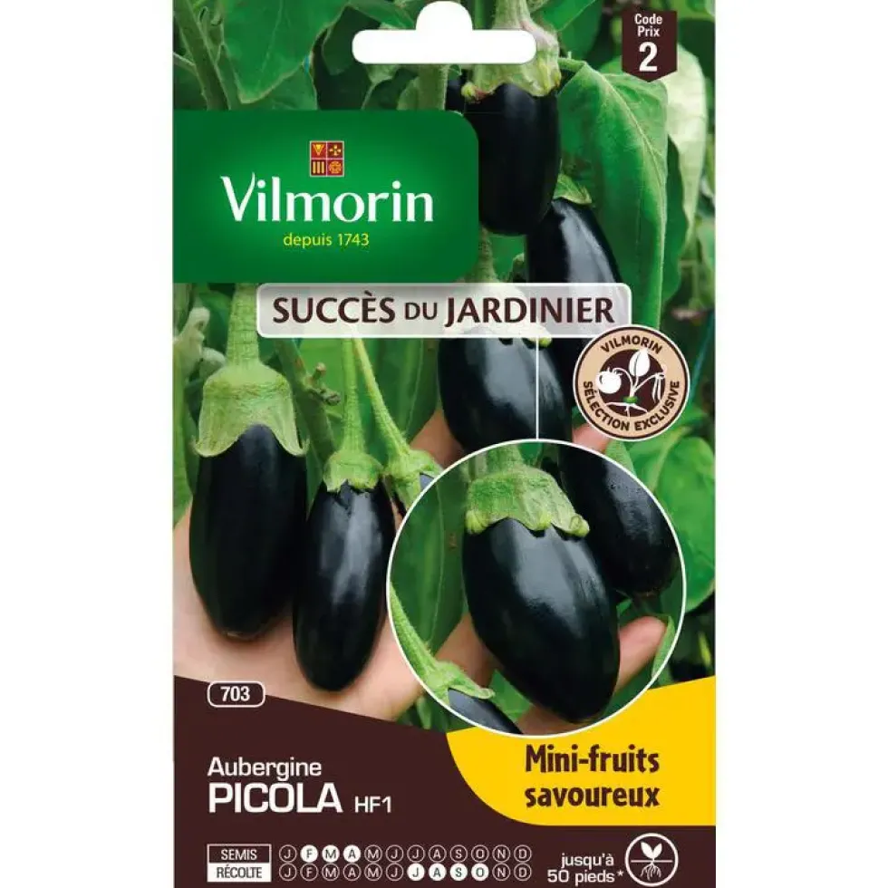 Graines d'aubergine picola HF1 Vilmorin - graines à semer