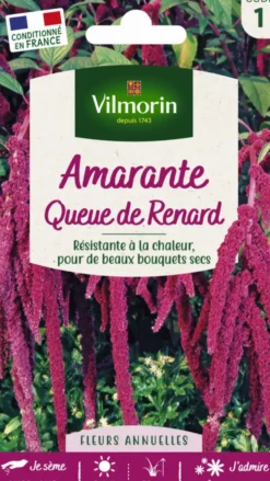 Graines de Amarante Queue de Renard Vilmorin - graines à semer