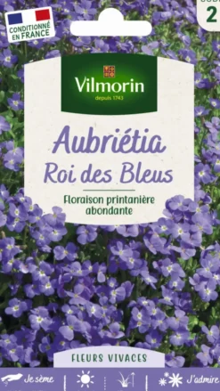 Graines de Aubriétia Roi des Bleus Vilmorin - graines à semer