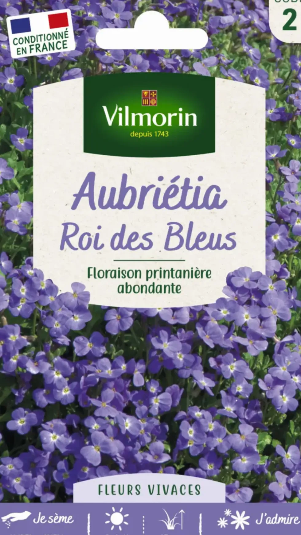 Graines de Aubriétia Roi des Bleus Vilmorin - graines à semer