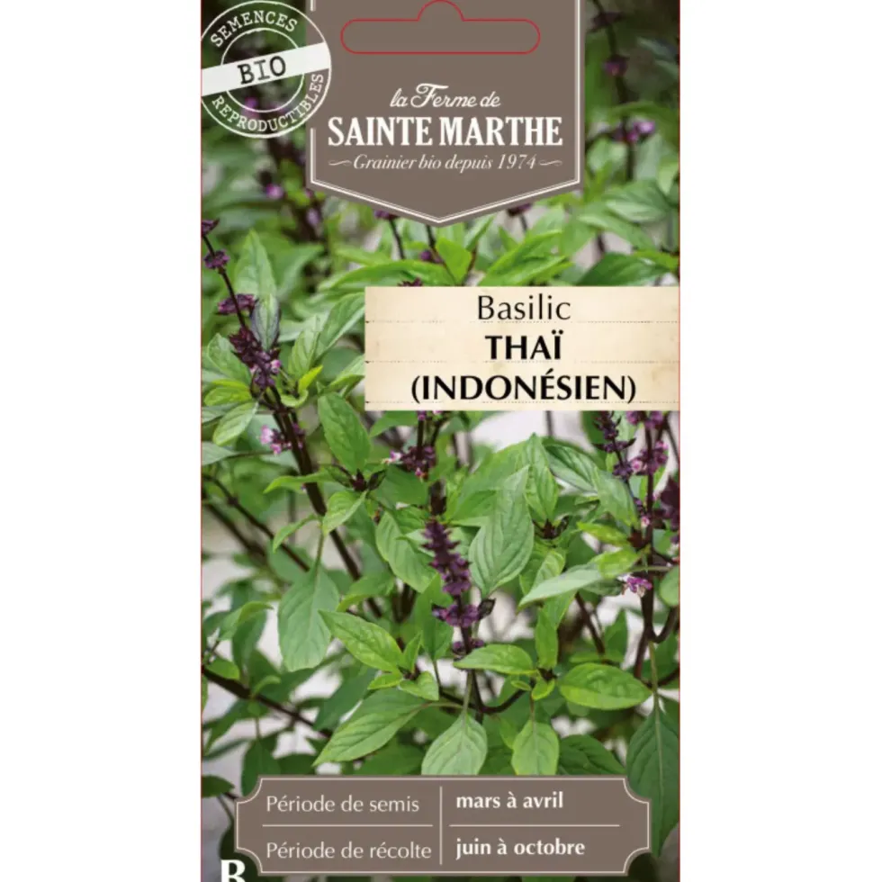 Graines de basilic thaï bio Ferme de Sainte Marthe - graines à semer