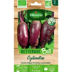 Graines de betterave cylindria bio Vilmorin - graines à semer