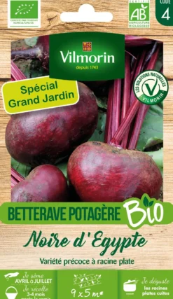 Graines de betterave Egypte bio coloris rose Vilmorin jardin - graines à semer