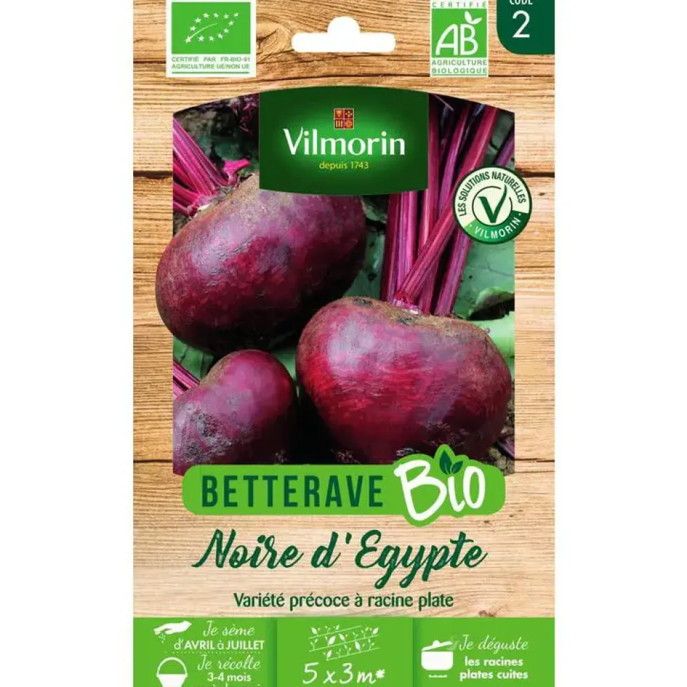 Graines de betterave noire d'Egypte bio Vilmorin - graines à semer
