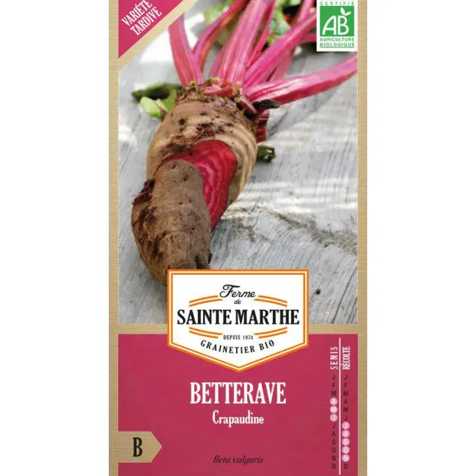 Graines de betterave potagère crapaudine bio Ferme de Sainte Marthe - graines à semer