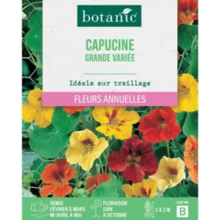 Graines de capucine grande variée botanic® - graines à semer
