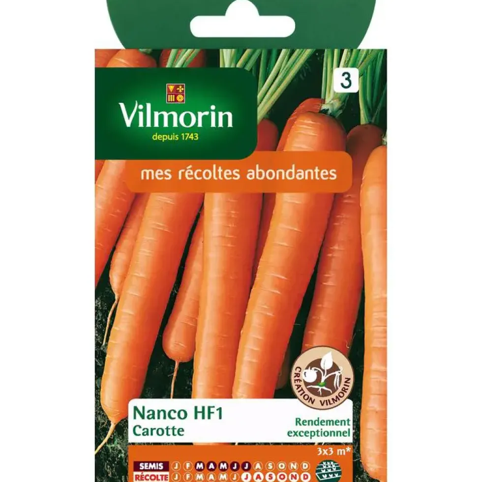 Graines de carotte nanco HF1 Vilmorin - graines à semer