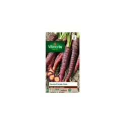 Graines de Carotte violette Purple Haze Vilmorin - graines à semer