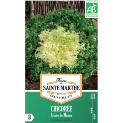 Graines de Chicorée frisée de Meaux bio Ferme de Sainte Marthe - graines à semer
