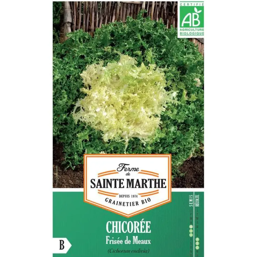 Graines de Chicorée frisée de Meaux bio Ferme de Sainte Marthe - graines à semer