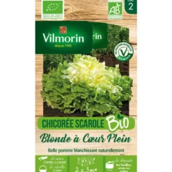 Graines de chicorée scarole blonde à cœur Vilmorin - graines à semer