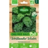 Graines de chou kale frisé westlandse winter bio Vilmorin - graines à semer