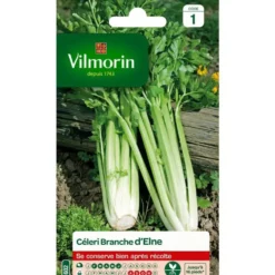 Graines de céléri branche d'Elne Vilmorin - graines à semer