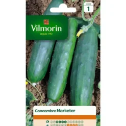 Graines de Concombre Marketer Vilmorin - graines à semer
