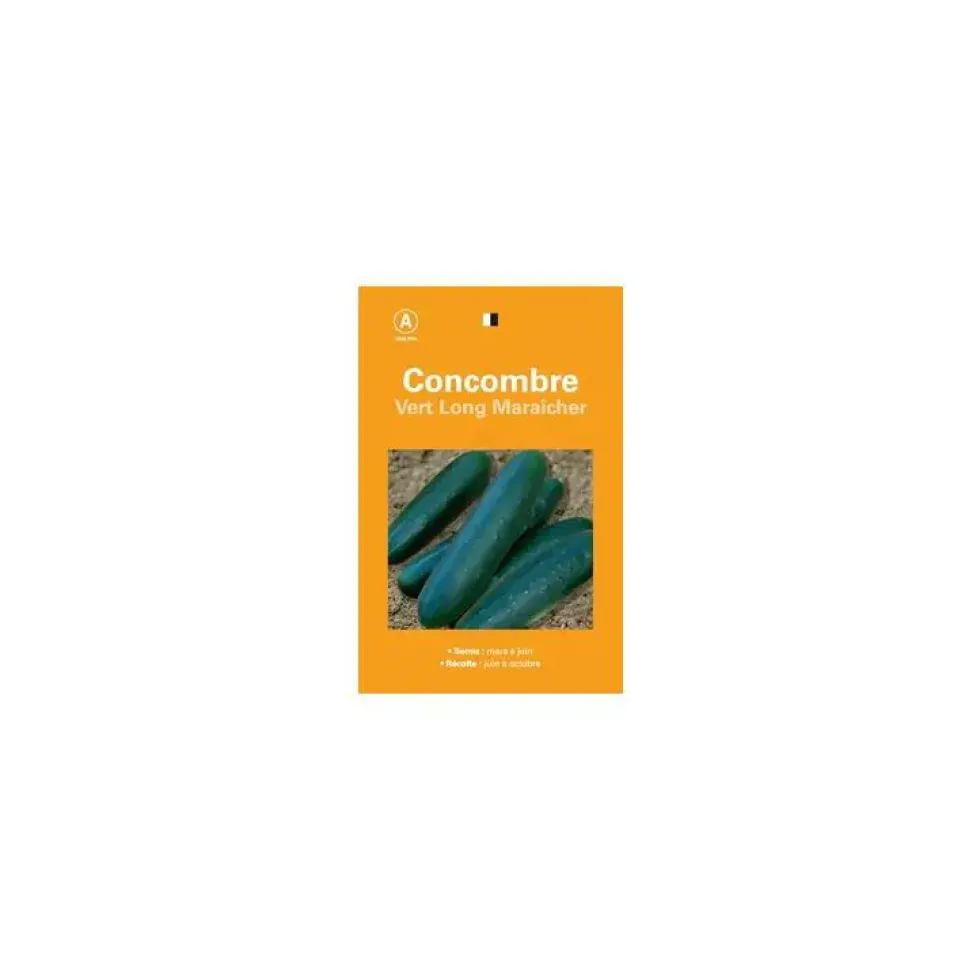 Graines de concombre vert long maraîcher sélection premier prix - graines à semer