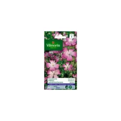 Graines de Coquelourde Rose du Ciel Vilmorin - graines à semer