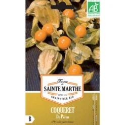 Graines de coqueret du Pérou bio Ferme de Sainte Marthe - graines à semer