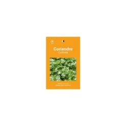 Graines de coraindre cultivée sélection premier prix - graines à semer