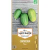Graines de Cornichon de Russie bio Ferme Sainte Marthe - graines à semer