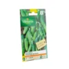 Graines de Cornichon vert petit de Paris Vilmorin Légumes d’autrefois - graines à semer