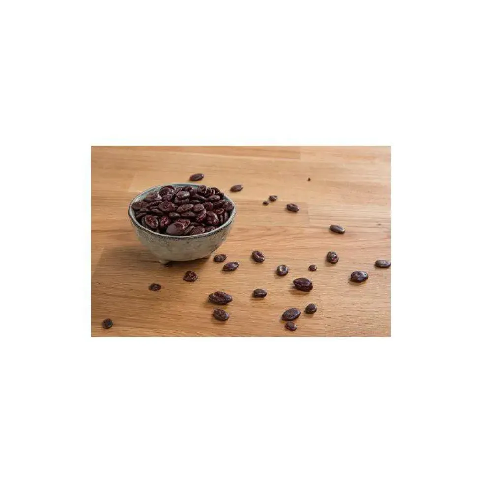 Graines de courge enrobées de chocolat noir - Prix au kilo