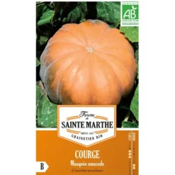 Graines de courge musquée muscade bio Ferme de la Sainte Marthe - graines à semer