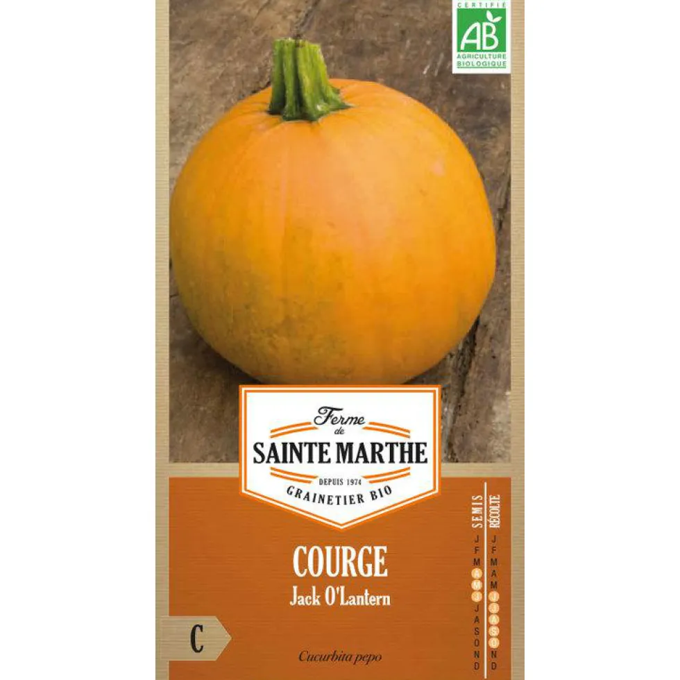 Graines de courgette jack O lanterne bio Ferme de Sainte Marthe - graines à semer