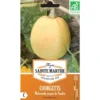 Graines de courgette melonnette jaspée de vendée bio Ferme de Sainte Marthe - graines à semer
