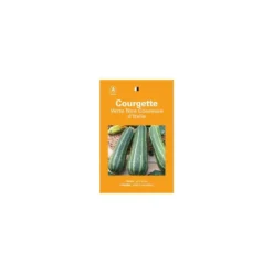 Graines de courgette verte non coureuse d'Italie sélection premier prix - graines à semer
