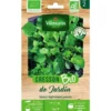 Graines de cresson de jardin bio Vilmorin - graines à semer