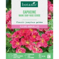Graines de fleurs de Capucine naine surf rose cerise botanic®