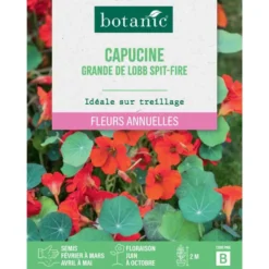 Graines de fleurs de Capucine grande de Lobb spitfire botanic®