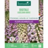 Graines de fleurs de Digitale excelsior variée botanic®