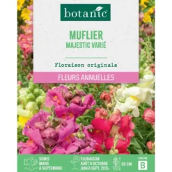 Graines de fleurs de Muflier majestic varié botanic®