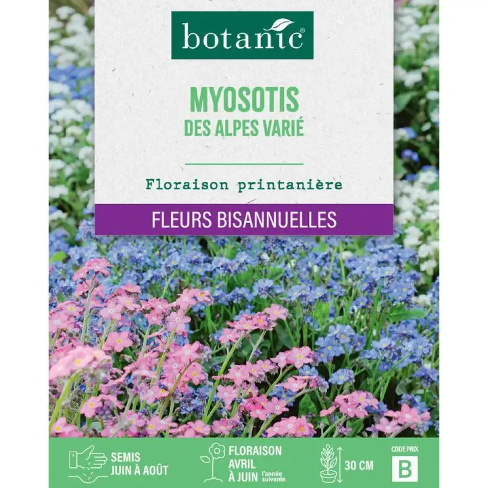 Graines de fleurs de Myosotis des Alpes varié botanic®