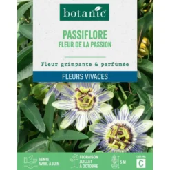 Graines de fleurs de Passiflore fleur de la passion botanic®