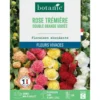Graines de fleurs de Rose trémière double grande variée botanic®