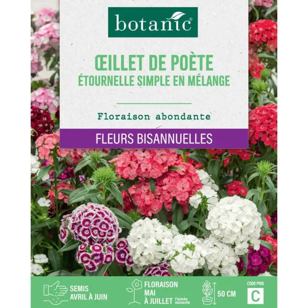 Graines de fleurs d'Œillet de poète étournelle simple en mélange botanic®