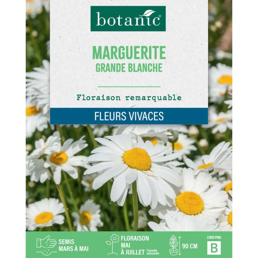 Graines de grande marguerite blanche botanic® - graines à semer