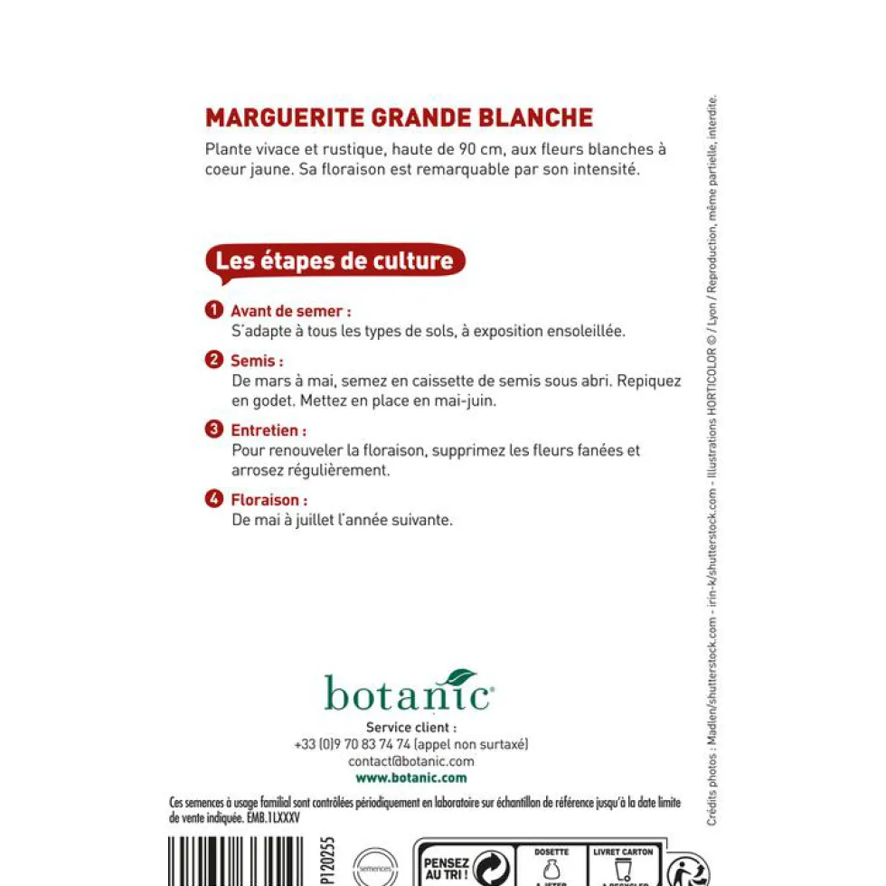 Graines de grande marguerite blanche botanic® - graines à semer