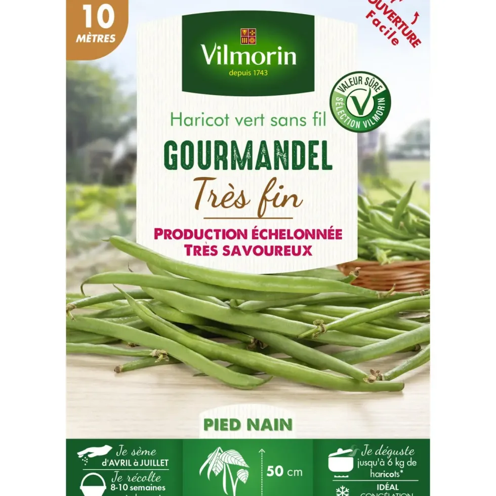 Graines de haricot gourmandel coloris vert Vilmorin jardin - graines à semer