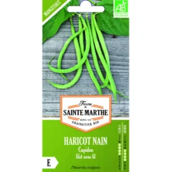 Graines de haricot nain cupidon bio Ferme de Sainte Marthe - graines à semer