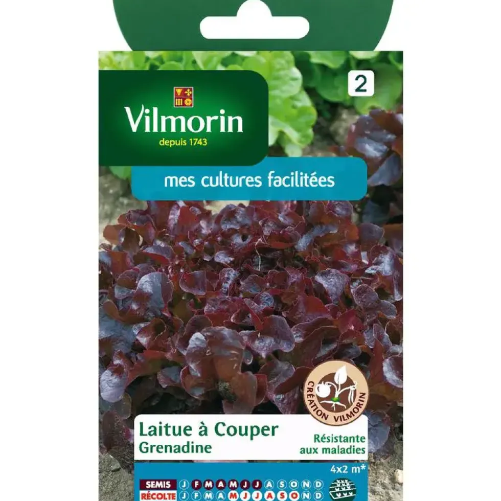 Graines de laitue à couper grenadine Vilmorin - graines à semer