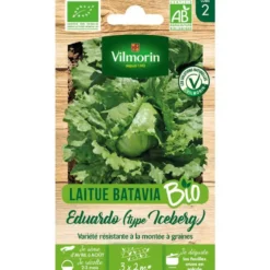 Graines de laitue iceberg éduardo bio Vilmorin - graines à semer